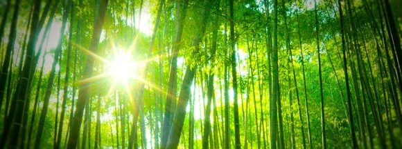 L’art de la « présentation Zen » par Garr Reynolds L’art de la « présentation Zen » par Garr Reynolds